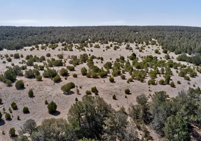 Photo 4 of Land for sale at Old Chilili Rd, Tijeras, NM 87059 | MLS# 1104076 | Listing updated on 2026-07-22
