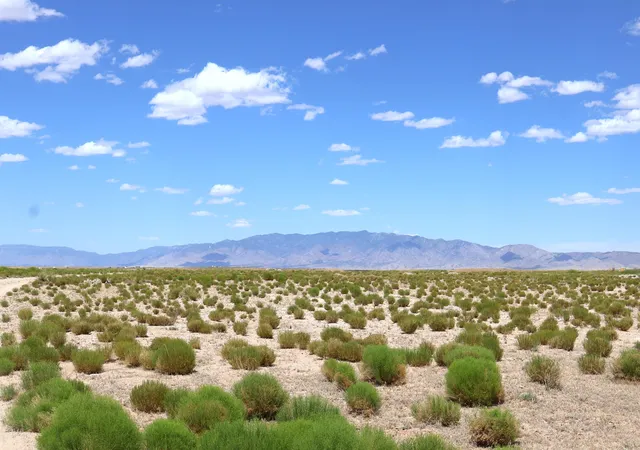 2nd image of Lot 7 & 8 Rio Grande Estates, Veguita, NM 87062 | MLS# 1104151