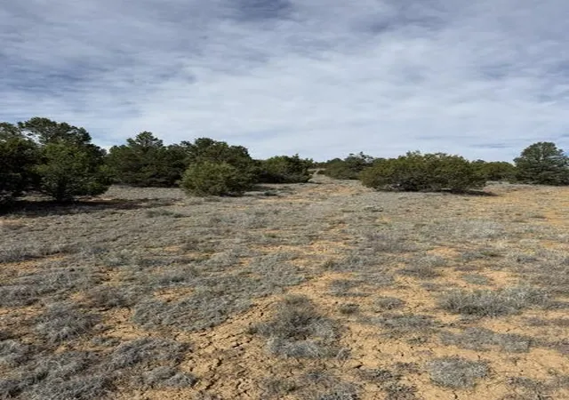 Homes for sale in Ramah, NM | 113 Rockhouse Rd, Ramah, NM 87321 | MLS# 1104473