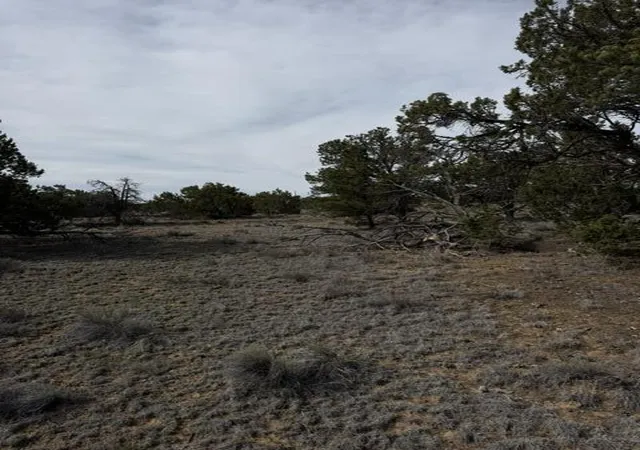 Homes for sale in Ramah, NM | 113 Rockhouse Rd, Ramah, NM 87321 | MLS# 1104473