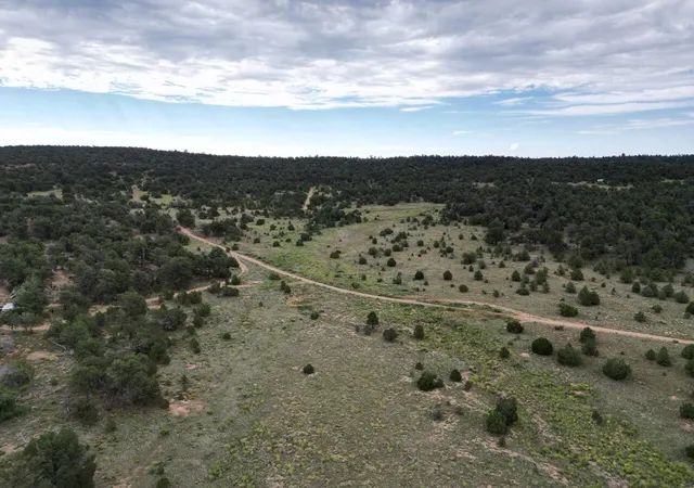 Homes for sale in Ramah, NM | Lot 14 Candy Kitchen Rd, Ramah, NM 87321 | MLS# 1104532