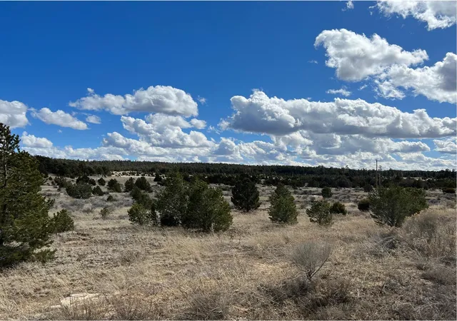 Homes for sale in Ramah, NM | Lot 14 Candy Kitchen Rd, Ramah, NM 87321 | MLS# 1104532