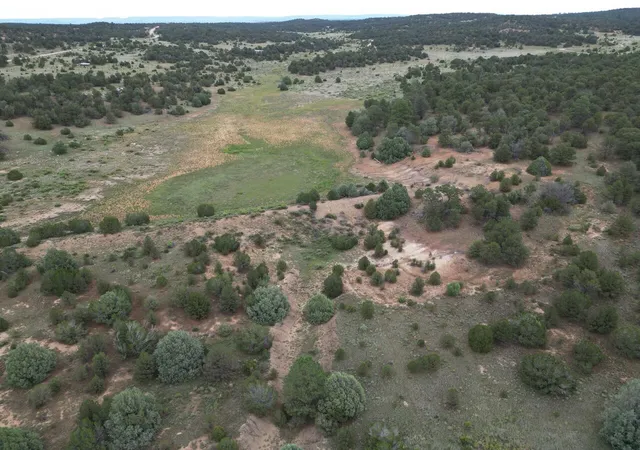 Homes for sale in Ramah, NM | Lot 14 Candy Kitchen Rd, Ramah, NM 87321 | MLS# 1104532