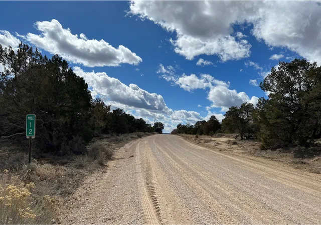 Homes for sale in Ramah, NM | Lot 14 Candy Kitchen Rd, Ramah, NM 87321 | MLS# 1104532