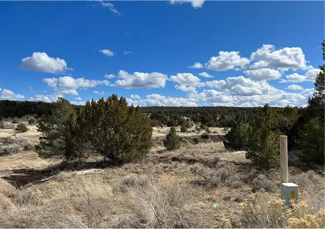 Homes for sale in Ramah, NM | Lot 14 Candy Kitchen Rd, Ramah, NM 87321 | MLS# 1104532
