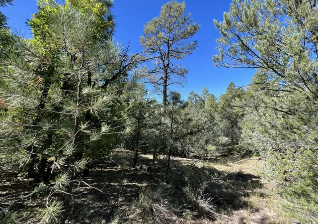 Homes for sale in Ramah, NM | 18 Quail, Ramah, NM 87321 | MLS# 1104540