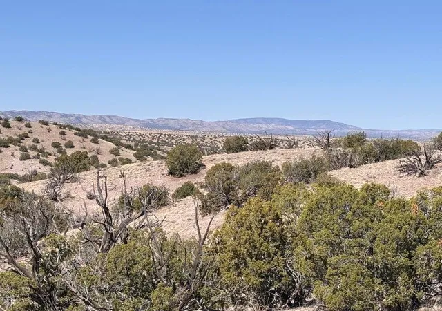Homes for sale in Magdalena, NM | Lot 124 Abbe Springs, Magdalena, NM 87825 | MLS# 1104570