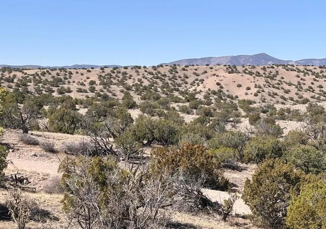 Homes for sale in Magdalena, NM | Lot 124 Abbe Springs, Magdalena, NM 87825 | MLS# 1104570