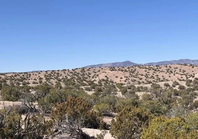 Homes for sale in Magdalena, NM | Lot 124 Abbe Springs, Magdalena, NM 87825 | MLS# 1104570