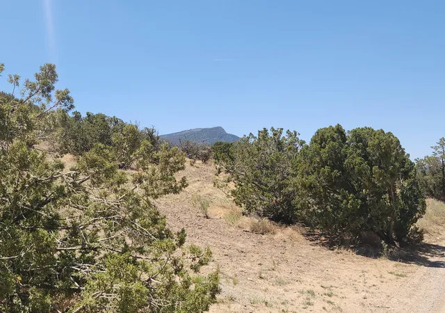 Homes for sale in Placitas, NM | 4 Charlotte Ln, Placitas, NM 87043 | MLS# 1104580