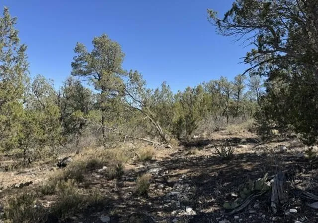 Homes for sale in Edgewood, NM | Fire Break Rd, Edgewood, NM 87015 | MLS# 1104587