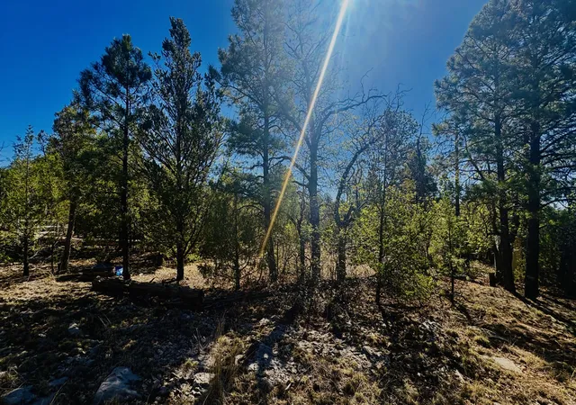Homes for sale in Grants, NM | 7889 Zuni Cyn Rd, Grants, NM 87020 | MLS# 1104630