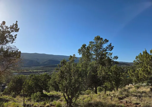 Photo 2 of Land for sale at 42 Calle Conejo Rd, Tijeras, NM 87059 | MLS# 1104634 | Listing updated on 2026-08-10