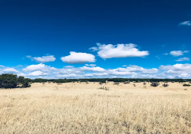 Photo 1 of Land for sale at Mission Hills Lot 10, Estancia, NM 87016 | MLS# 1104647 | Listing updated on 2026-06-02