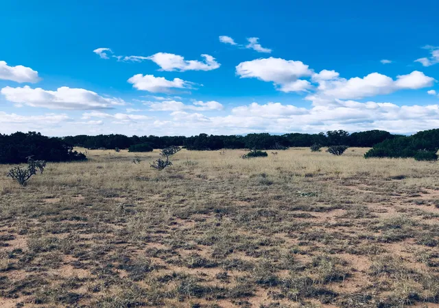 Photo 3 of Land for sale at Mission Hills Lot 10, Estancia, NM 87016 | MLS# 1104647 | Listing updated on 2026-06-02