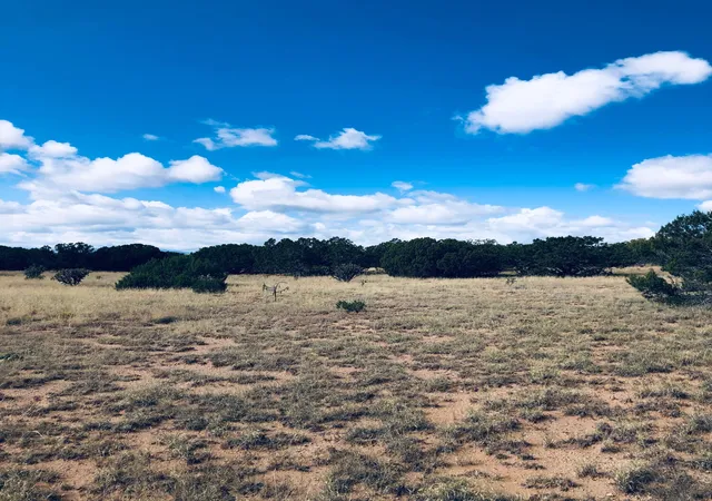 Photo 4 of Land for sale at Mission Hills Lot 10, Estancia, NM 87016 | MLS# 1104647 | Listing updated on 2026-06-02