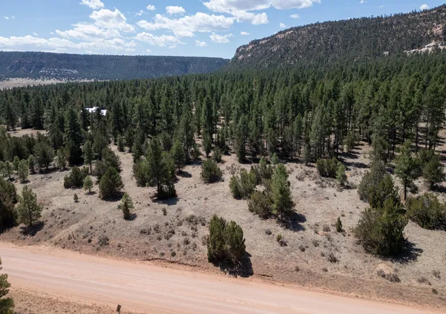 Homes for sale in Ramah, NM | 823 Timberlake Rd, Ramah, NM 87321 | MLS# 1104697
