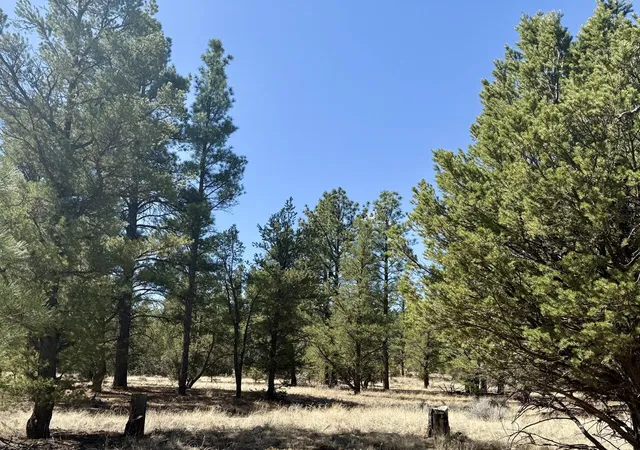 Homes for sale in Ramah, NM | 823 Timberlake Rd, Ramah, NM 87321 | MLS# 1104697