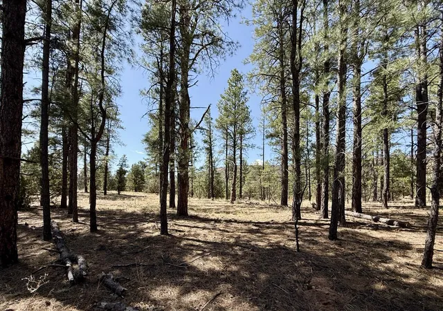 Homes for sale in Ramah, NM | 823 Timberlake Rd, Ramah, NM 87321 | MLS# 1104697