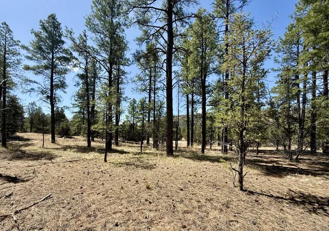 Homes for sale in Ramah, NM | 823 Timberlake Rd, Ramah, NM 87321 | MLS# 1104697
