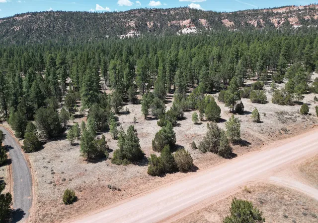 Homes for sale in Ramah, NM | 823 Timberlake Rd, Ramah, NM 87321 | MLS# 1104697