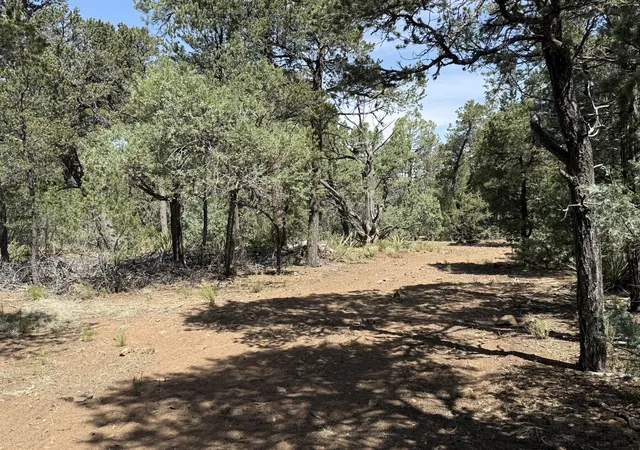Homes for sale in Tijeras, NM | 17 Andromeda Ln, Tijeras, NM 87059 | MLS# 1104708