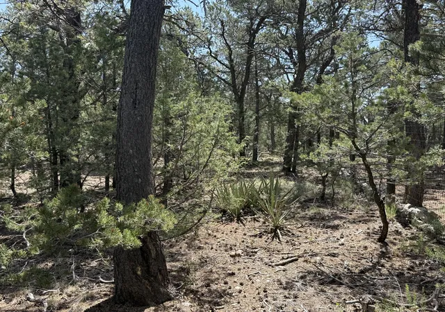 Homes for sale in Tijeras, NM | 17 Andromeda Ln, Tijeras, NM 87059 | MLS# 1104708