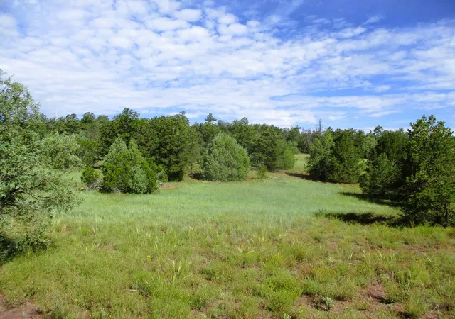 Photo 1 of Land for sale at Lots 5 & 6 Black Bear Rd, Ramah, NM 87321 | MLS# 1104781 | Listing updated on 2026-08-21