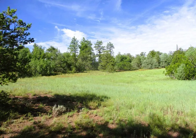 Photo 3 of Land for sale at Lots 5 & 6 Black Bear Rd, Ramah, NM 87321 | MLS# 1104781 | Listing updated on 2026-08-21