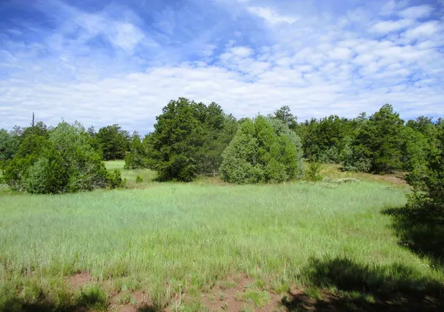 Photo 4 of Land for sale at Lots 5 & 6 Black Bear Rd, Ramah, NM 87321 | MLS# 1104781 | Listing updated on 2026-08-21