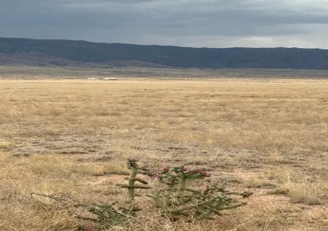 2nd image of Lot 5blk19 Mapa Cir #1, Belen, NM 87002 | MLS# 1105018