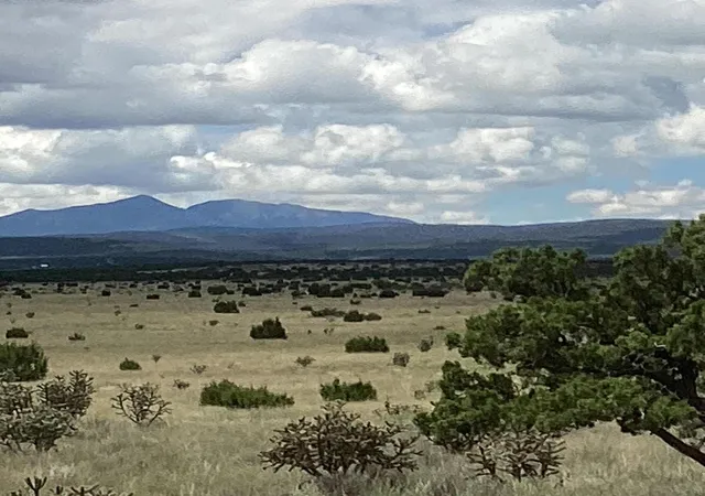 Photo 1 of Land for sale at County Rd A052, Estancia, NM 87016 | MLS# 1105072 | Listing updated on 2026-07-21