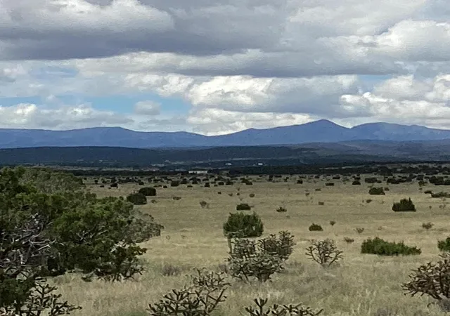Photo 2 of Land for sale at County Rd A052, Estancia, NM 87016 | MLS# 1105072 | Listing updated on 2026-07-21