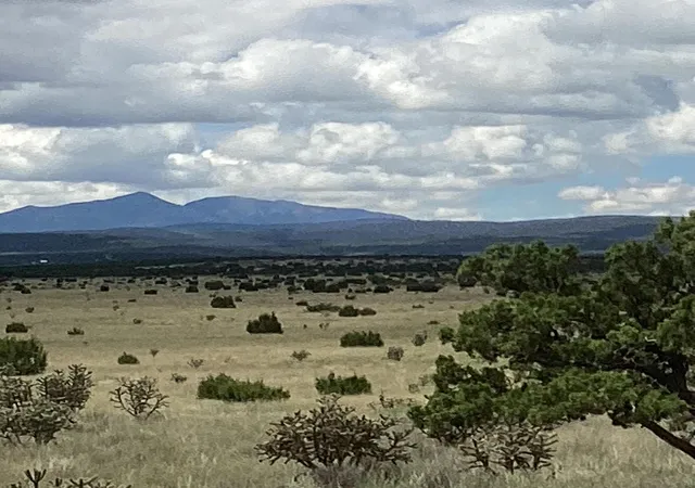 Photo 7 of Land for sale at County Rd A052, Estancia, NM 87016 | MLS# 1105072 | Listing updated on 2026-07-21