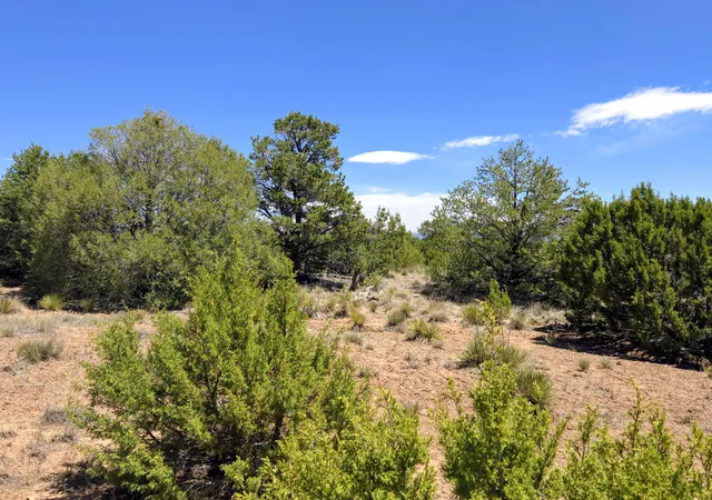 Homes for sale in Sandia Park, NM | 0 High Sierra, Sandia Park, NM 87047 | MLS# 1105134