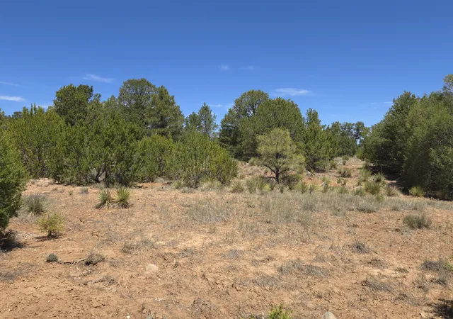 Homes for sale in Sandia Park, NM | 0 High Sierra, Sandia Park, NM 87047 | MLS# 1105134