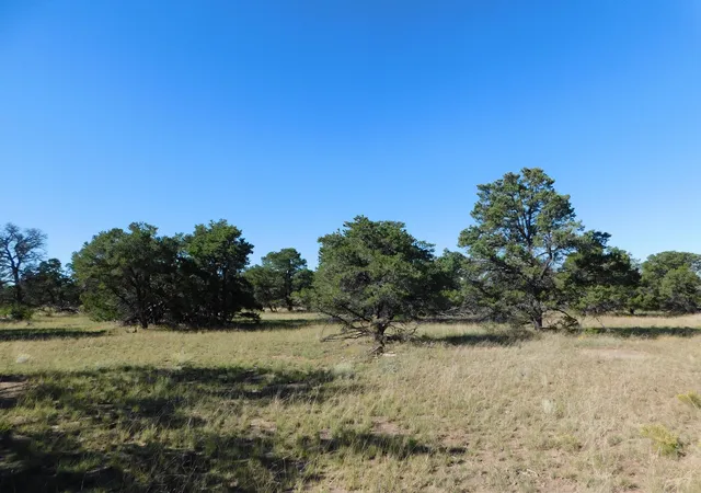 Photo 1 of Land for sale at 43 Brook Blvd, Quemado, NM 87829 | MLS# 1105156 | Listing updated on 2026-07-25
