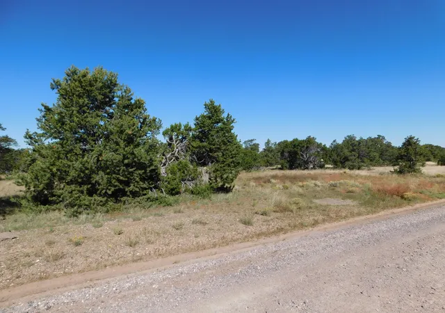 Photo 2 of Land for sale at 43 Brook Blvd, Quemado, NM 87829 | MLS# 1105156 | Listing updated on 2026-07-25