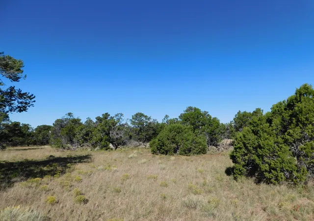 Photo 2 of Land for sale at 43 Brook Blvd, Quemado, NM 87829 | MLS# 1105156 | Listing updated on 2026-07-25