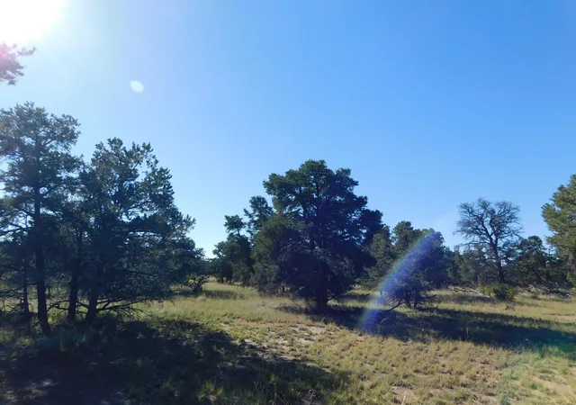 Photo 3 of Land for sale at 43 Brook Blvd, Quemado, NM 87829 | MLS# 1105156 | Listing updated on 2026-07-25