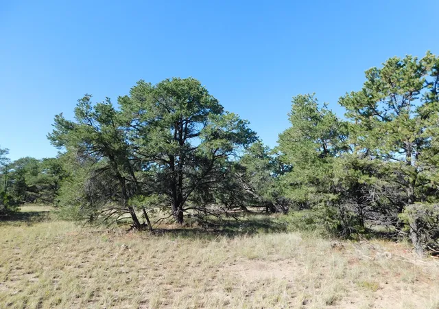 Photo 4 of Land for sale at 43 Brook Blvd, Quemado, NM 87829 | MLS# 1105156 | Listing updated on 2026-07-25