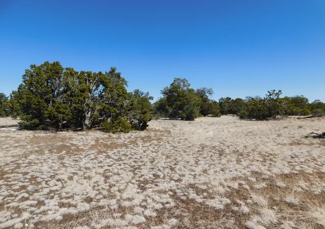 Homes for sale in Quemado, NM | Lot 26 Spring Canyon Cir, Quemado, NM 87829 | MLS# 1105166