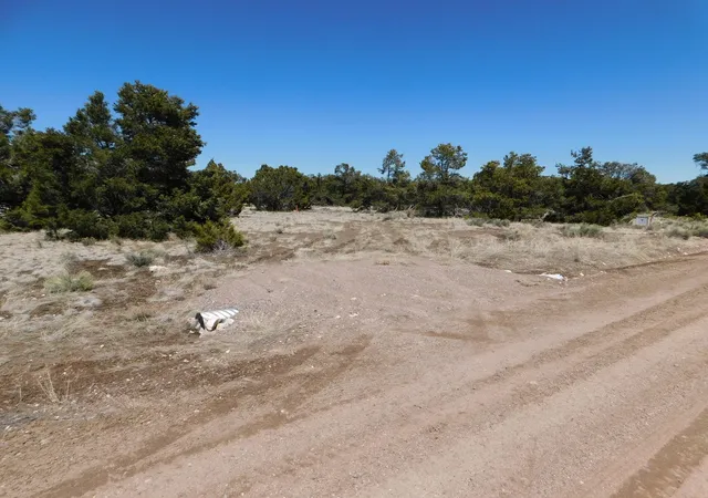 Homes for sale in Quemado, NM | Lot 26 Spring Canyon Cir, Quemado, NM 87829 | MLS# 1105166