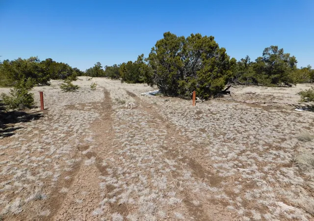 Homes for sale in Quemado, NM | Lot 26 Spring Canyon Cir, Quemado, NM 87829 | MLS# 1105166