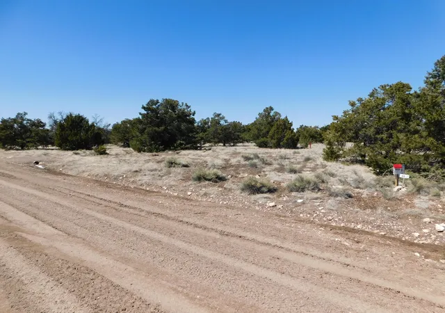 Homes for sale in Quemado, NM | Lot 26 Spring Canyon Cir, Quemado, NM 87829 | MLS# 1105166