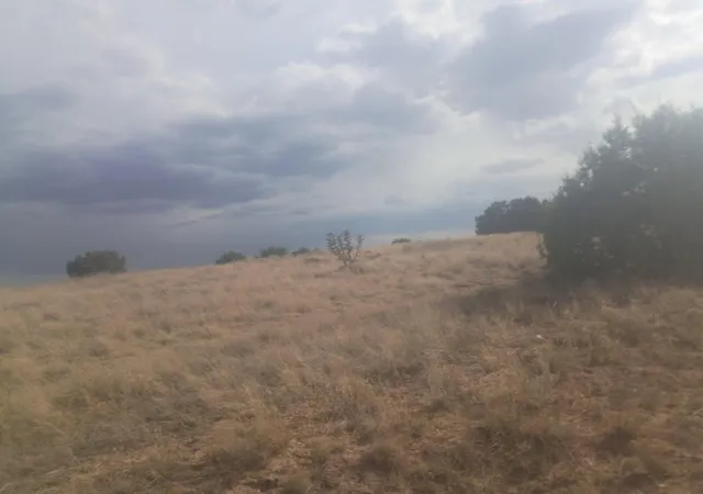 1st image of Lot 48 B Cassandra Ct, Moriarty, NM 87035 | MLS# 1105172