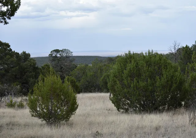 Homes for sale in Edgewood, NM | 184 Sunlight Rd, Edgewood, NM 87015 | MLS# 1105185