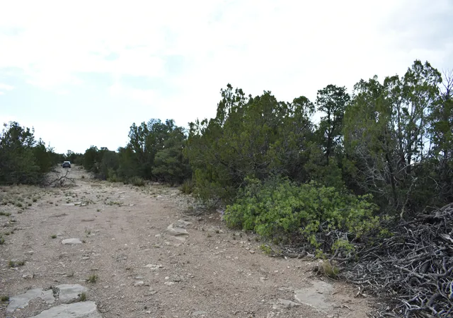 Homes for sale in Edgewood, NM | 184 Sunlight Rd, Edgewood, NM 87015 | MLS# 1105185