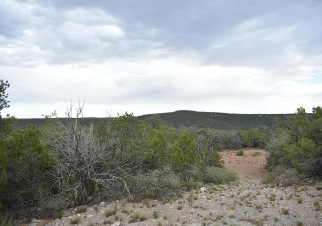 Homes for sale in Edgewood, NM | 184 Sunlight Rd, Edgewood, NM 87015 | MLS# 1105185