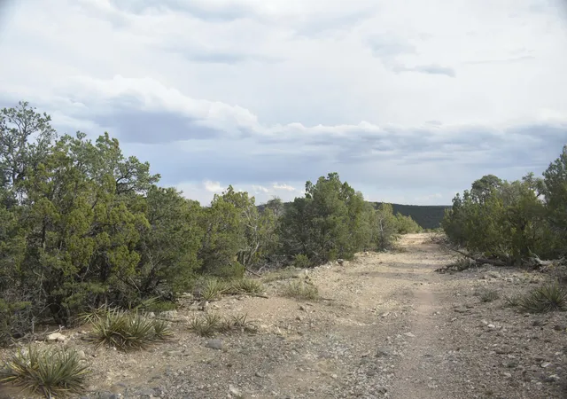 Homes for sale in Edgewood, NM | 184 Sunlight Rd, Edgewood, NM 87015 | MLS# 1105185